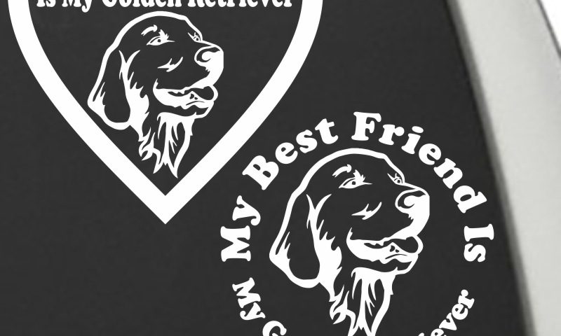 Golden Retriever My Best Friend Is My Dog Decal Sunburst Reflections