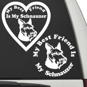 Schnauzer – My Best Friend Is My Dog Decal