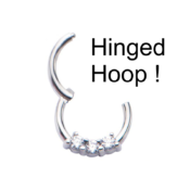 Hinged Hoops