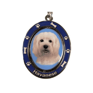 Havanese Spinning Dog Keychain