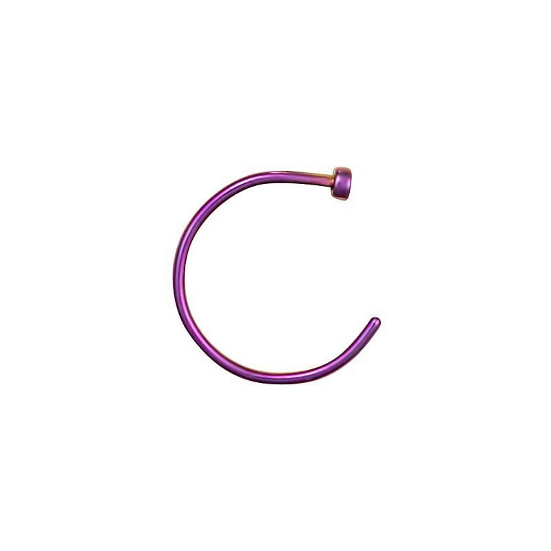 Nose Hoop Purple BVCT0158188A